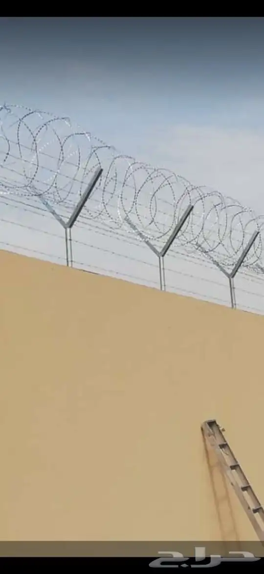 تركيب شبوك المزارع والاستراحات وزراعة النخيل بأنواعه 9