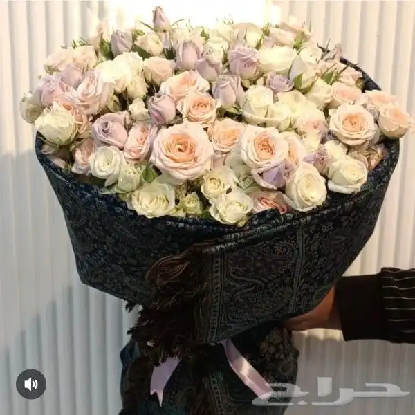 ورد_أبها ورد_ابها ورود_أبها ورود_ابها وردابها ورد أبها 12