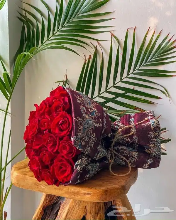 ورد_أبها ورد_ابها ورود_أبها ورود_ابها وردابها ورد أبها 14