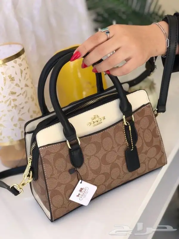 هداياء اكسسوارات شنط 3