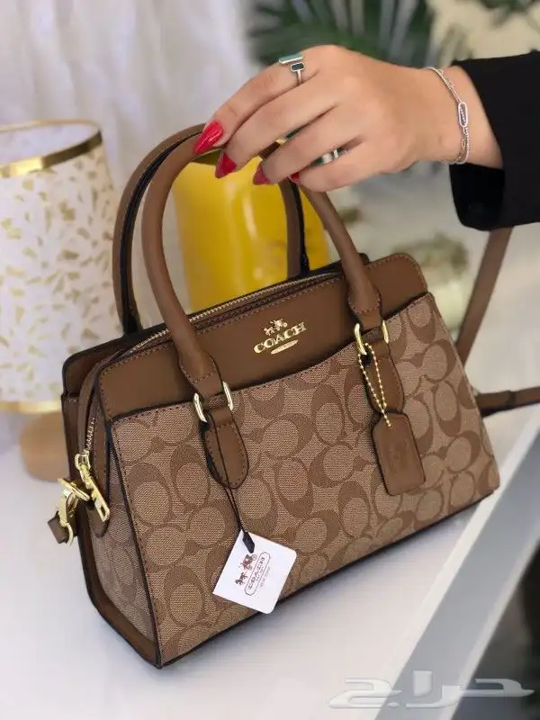 هداياء اكسسوارات شنط 13