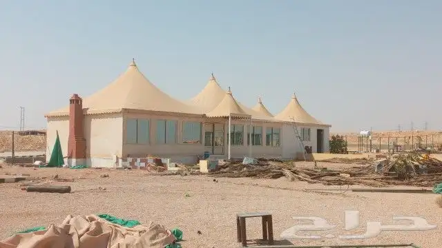 مجالس عربية 4