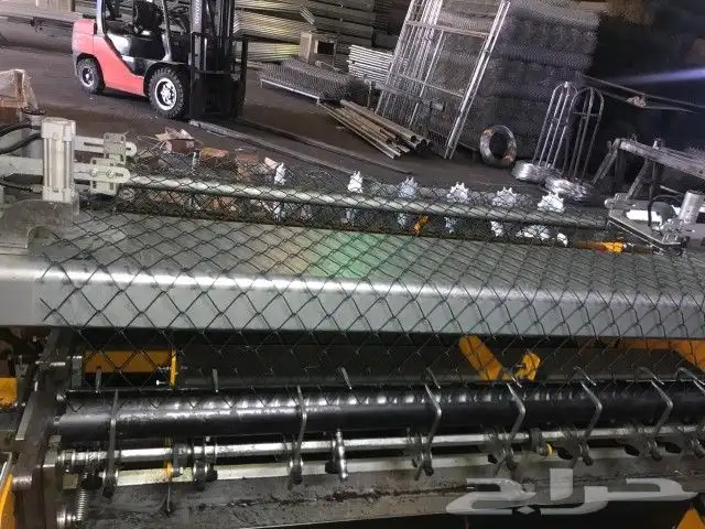 نخل خلاص للبيع 3