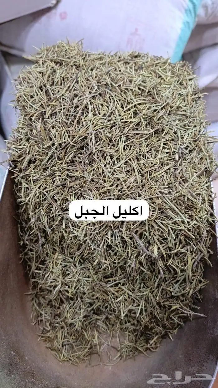 سدر بلدي عضوي وحناء المدينه ناعم مضمون جمله كميات بالطن 11