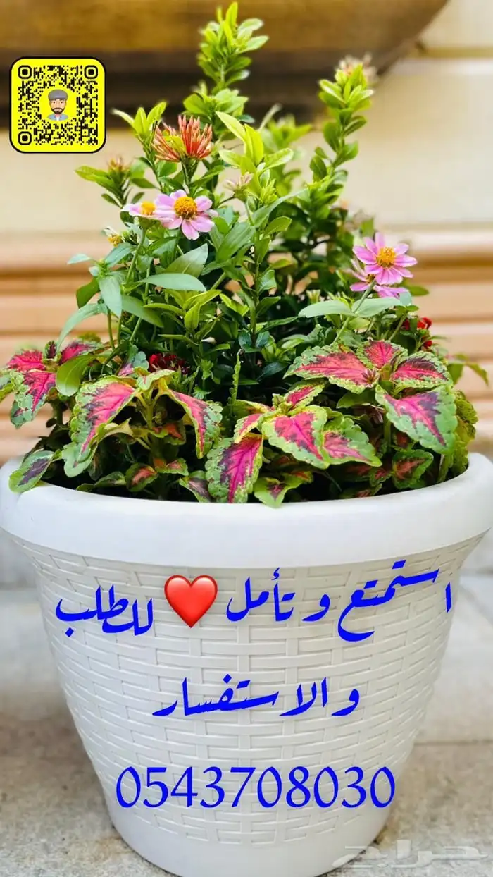 تنسيق الأحواض الزراعية 0