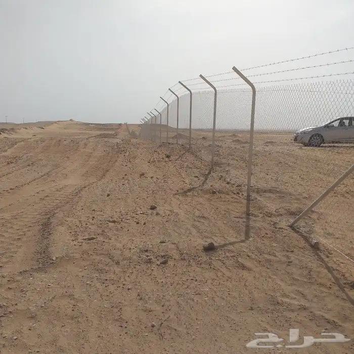 شبوك مزارع الرياض الجله تبراك القرنه شقراء 1