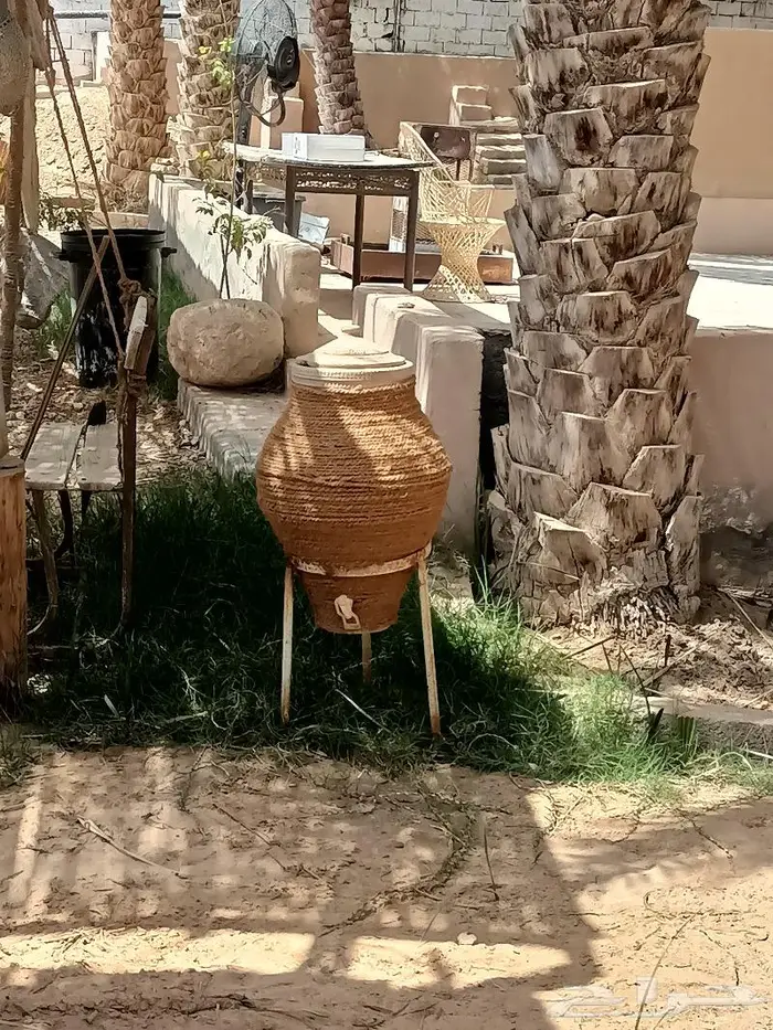 كراسى سعف النخيل 18