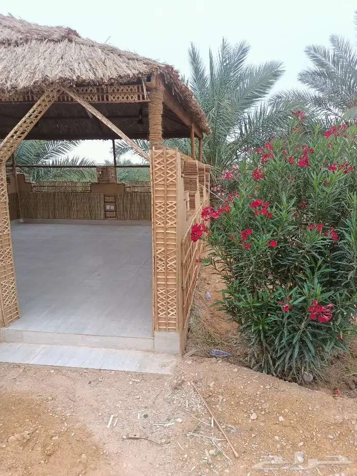 كراسى سعف النخيل 37