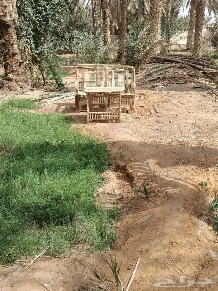 كراسى سعف النخيل 46