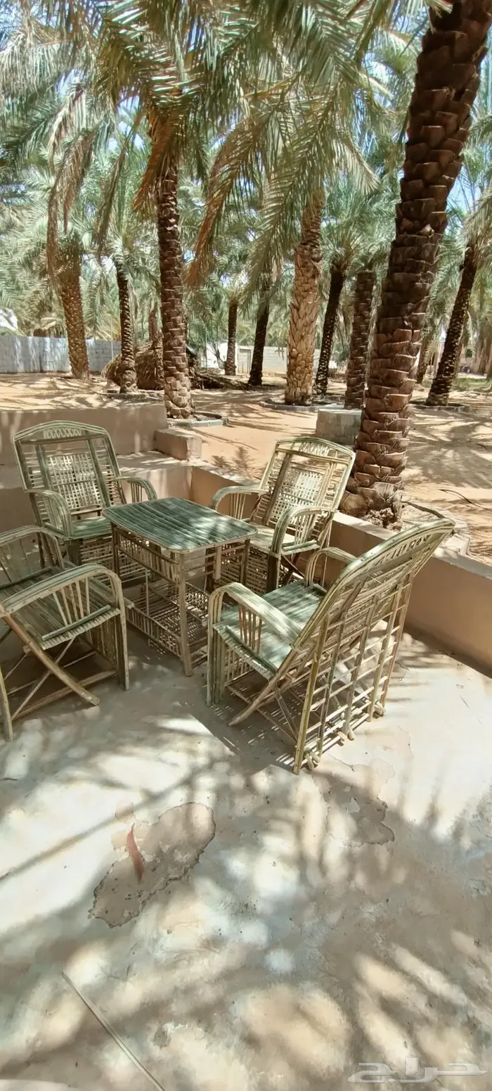 كراسى سعف النخيل 0