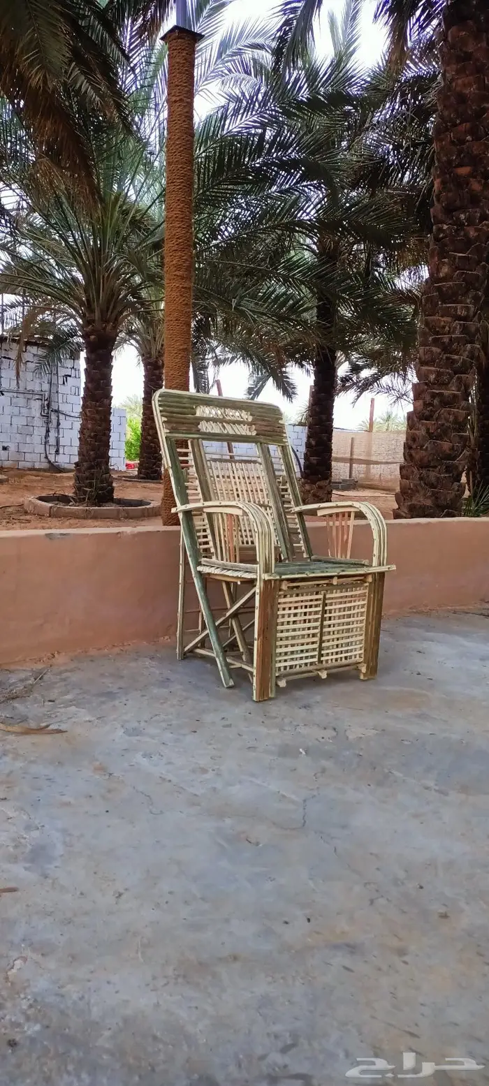 كراسى سعف النخيل 30