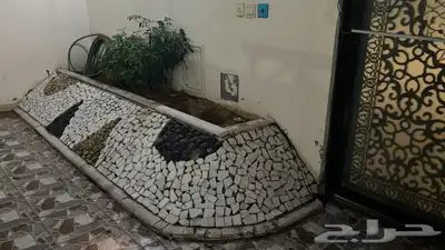 مزرع 1