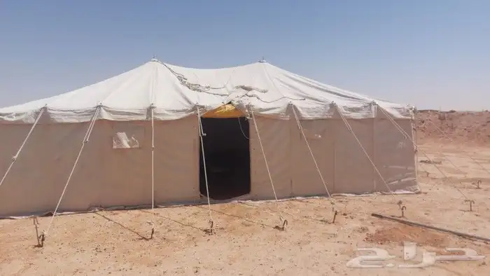 تأجير مخيمات مزين الابل في مهرجان الملك عبدالعزيز 0