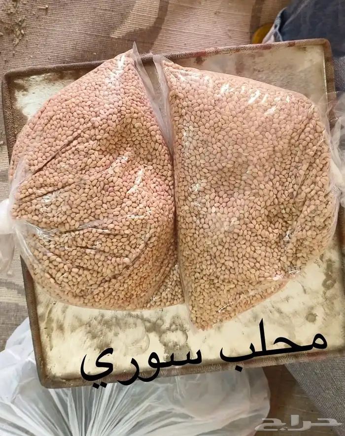 سدر بلدي عضوي وحناء المدينه ناعم مضمون جمله كميات بالطن 27