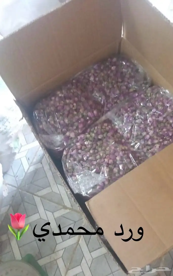 سدر بلدي عضوي وحناء المدينه ناعم مضمون جمله كميات بالطن 25