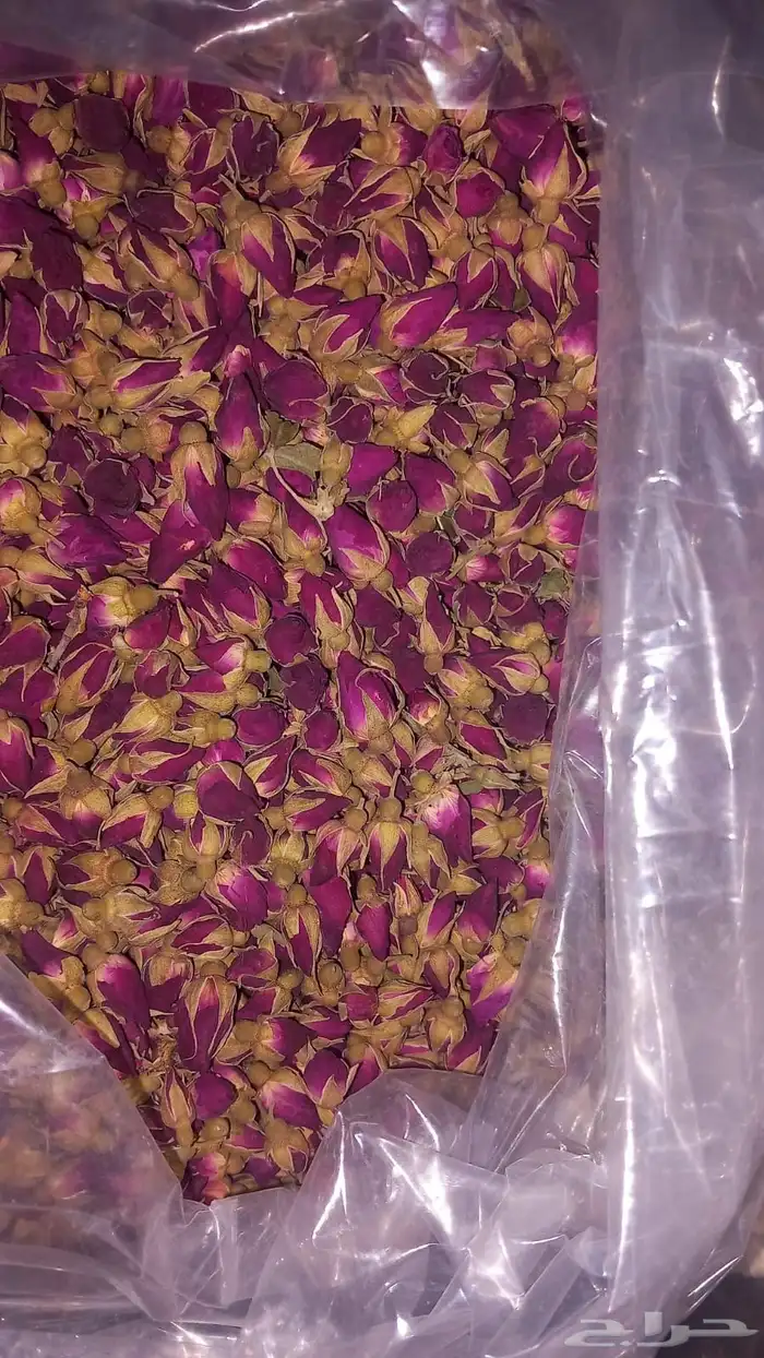 سدر بلدي عضوي وحناء المدينه ناعم مضمون جمله كميات بالطن 12