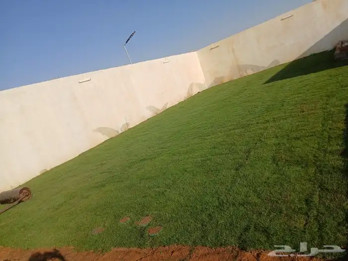 ثيل طبيعي وزراعه جميع الاشجار والنخيل 3