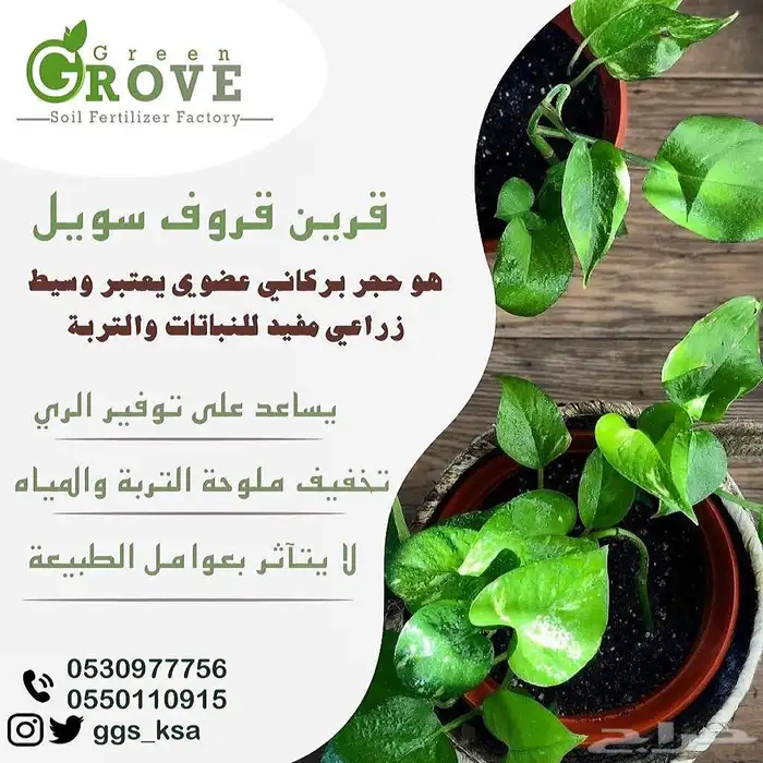 قرين قروف سويل متوفر في حايل 10