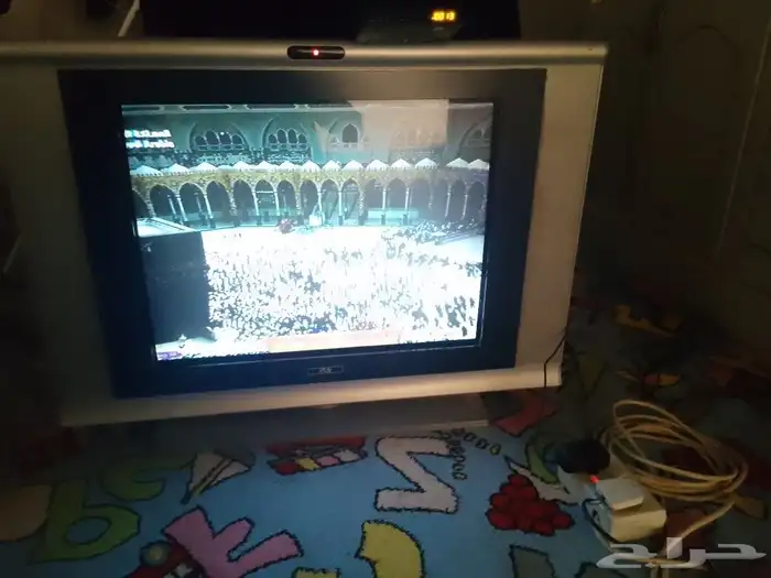 رقم الجوال 5