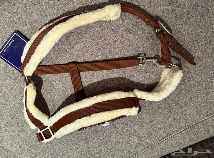 رشمه خيل جديده للبيع 0