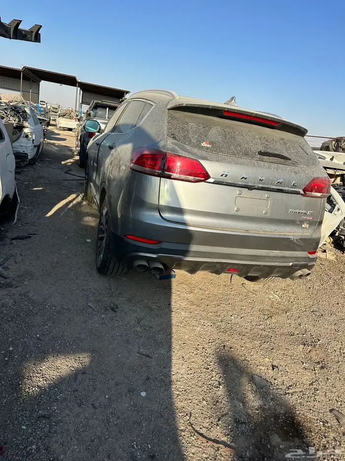 هافال جوليان 2023 تشليح 10