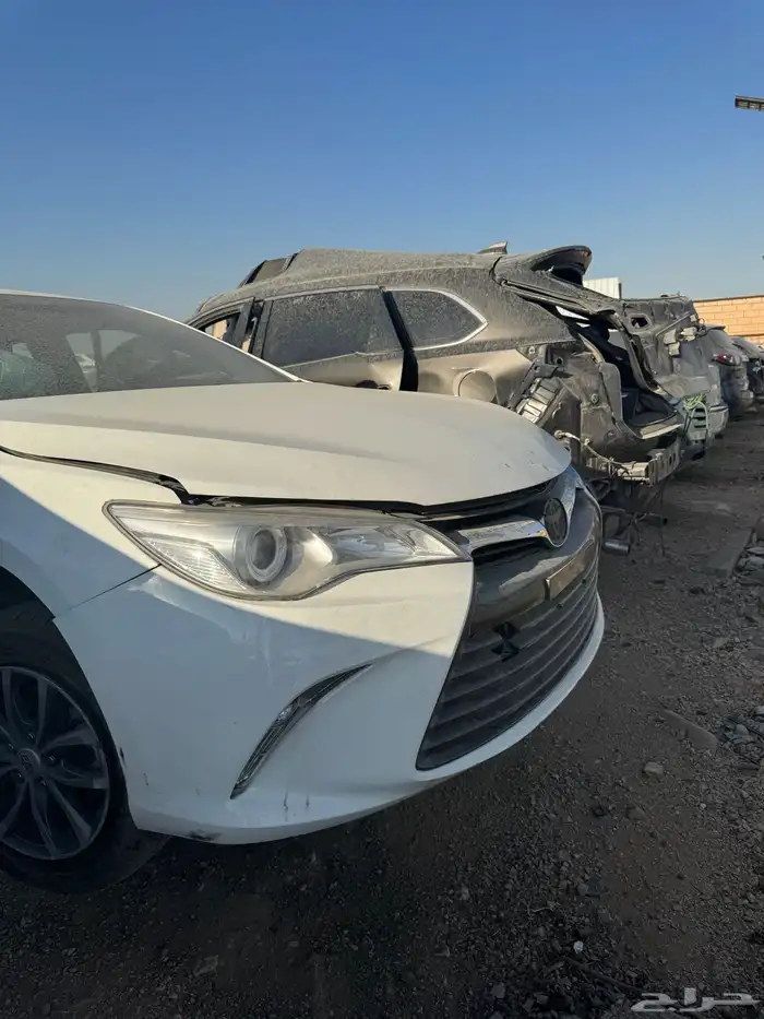 مندوب تشليح 0