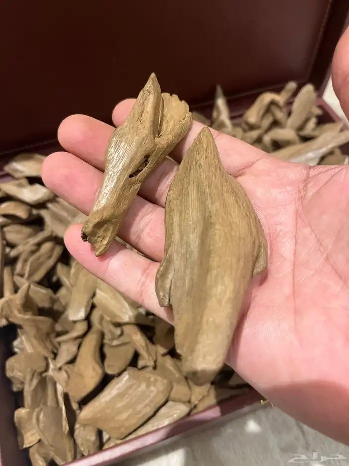 مروكي طبيعي سوبر 1
