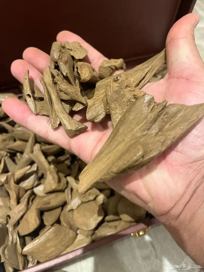 مروكي طبيعي سوبر 2