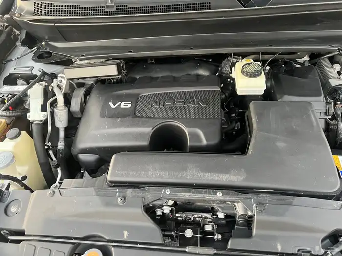 نسيان باتفندر 2019 7