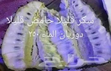 شتلات ليتجي تصنيف ampawaقزم الترقيد الهوآئي 30