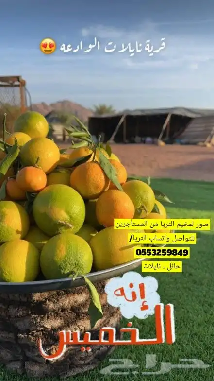 مخيم الثريا للإيجار اليومي حائل _ قرية نايلات 40