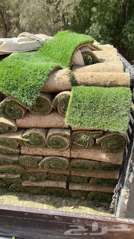 ثيل طبيعي وزراعه جميع الاشجار والنخيل 5