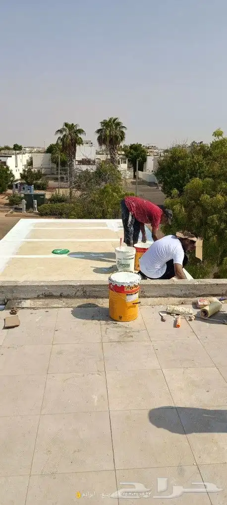 معلم بويه دهان شيبورد ديكور بديل الخشب بديل رخام الرخام 46