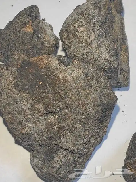 عنبر دخني اصلي. 2