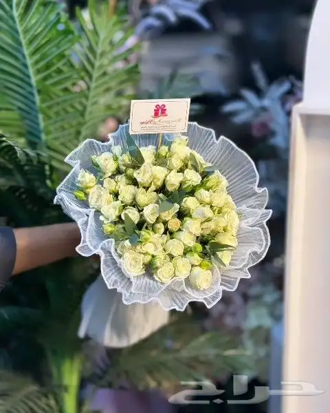 متجر هدايا جده 1