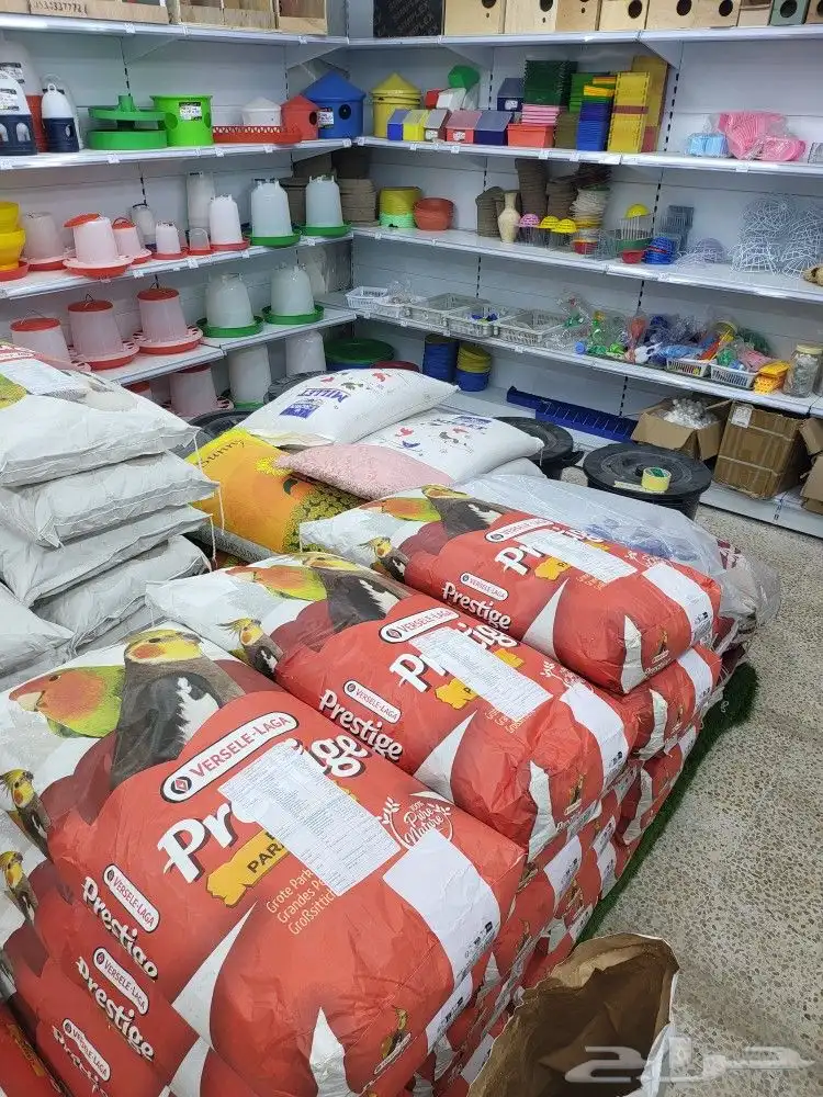 بيع مستلزمات الطيور والحيونات الاليفه 18