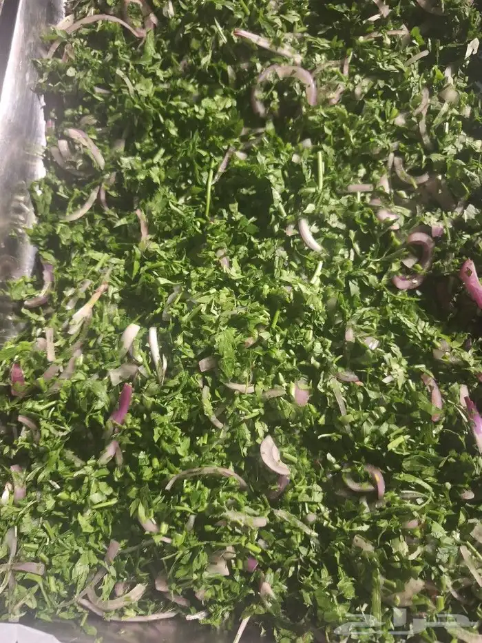 معلم مشويات شوي خارجي الدمام والخبر وكافة المنطقة الشرقية 15