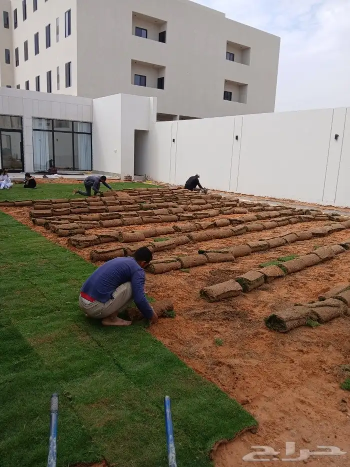 ثيل طبيعي وزراعه جميع الاشجار والنخيل 1