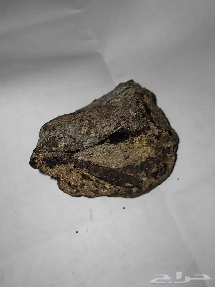 عنبر دخني اصلي. 5