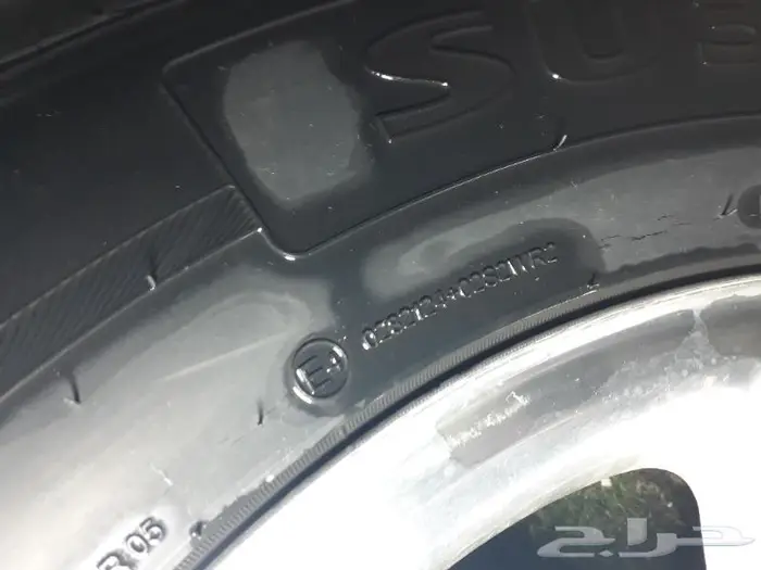 جنوط جمس دينالي 10