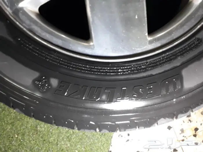 جنوط جمس دينالي 13