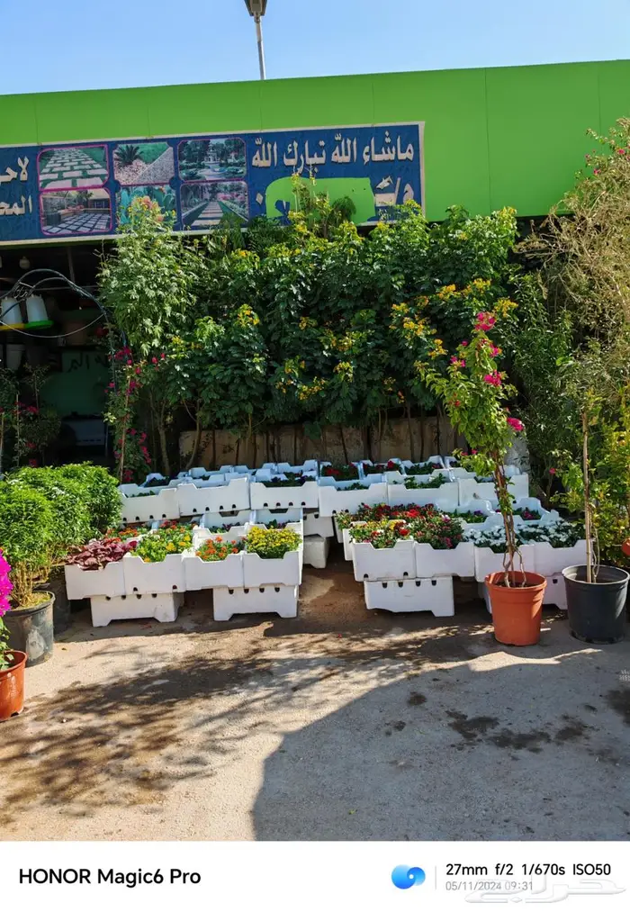 تنسيق حدائق 1