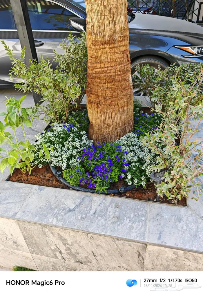 تنسيق حدائق 6