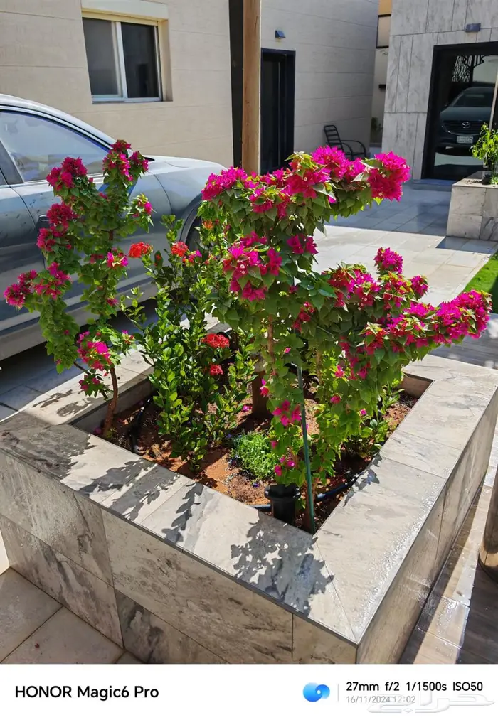 تنسيق حدائق 4
