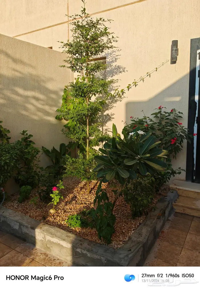 تنسيق حدائق 3