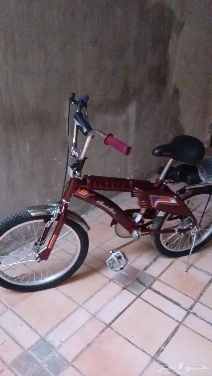 سيكل رامبو جديد بقراطيسه ومتوفر مستعمل عنابي 1