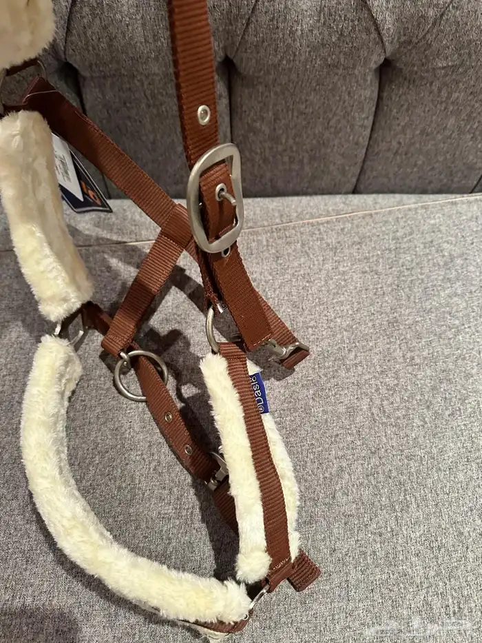رشمه خيل جديده للبيع 1