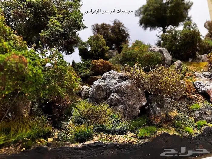 مجسم احترافي لمنظر طبيعي 9