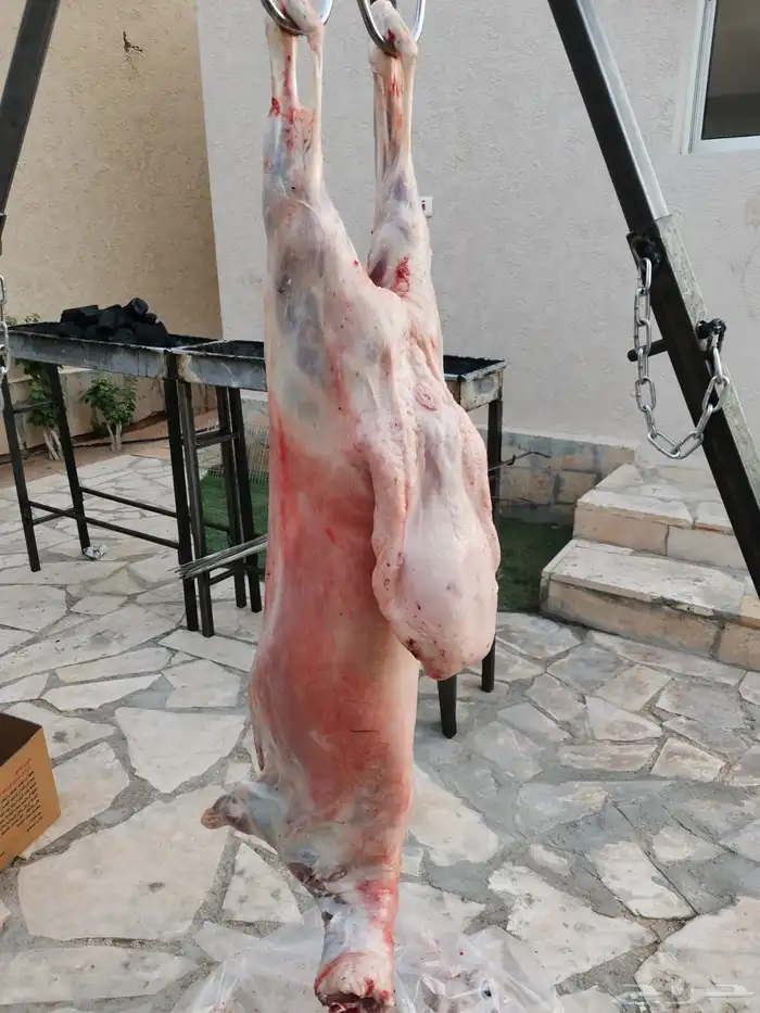 معلم مشويات خارجيه ودوار السعاده مشاوي كباب 7