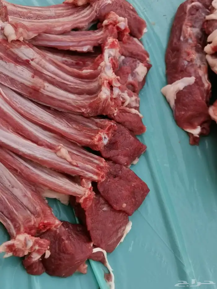 معلم مشويات خارجيه ودوار السعاده مشاوي كباب 0